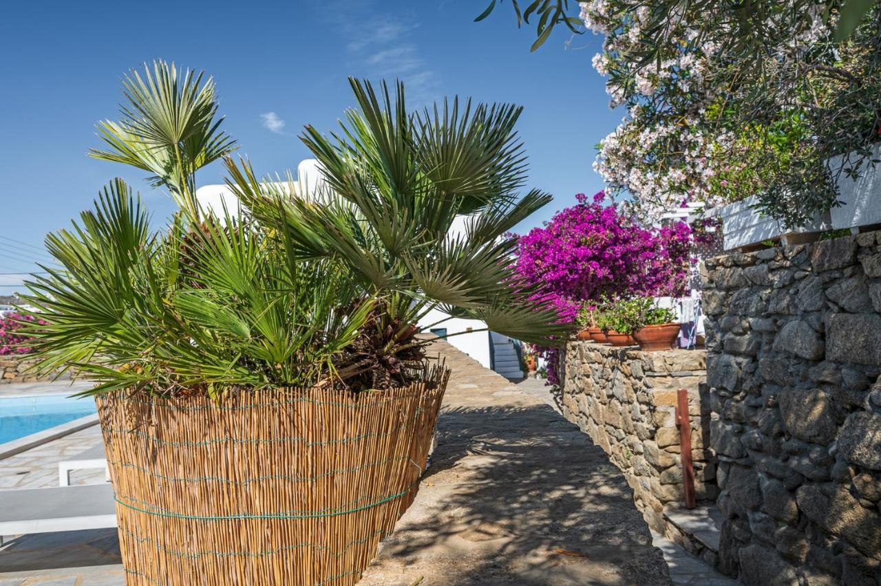 Вілла Casa Cozy Mykonos Town Екстер'єр фото