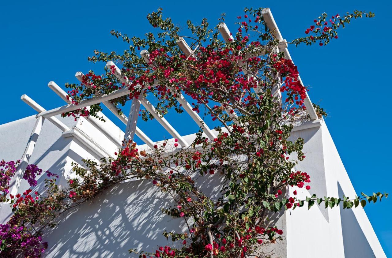 Вілла Casa Cozy Mykonos Town Екстер'єр фото